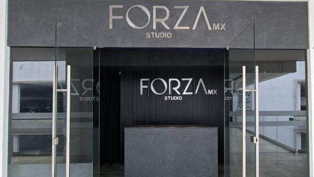 Imagen 2 de la galería del partner Forza MX Studio