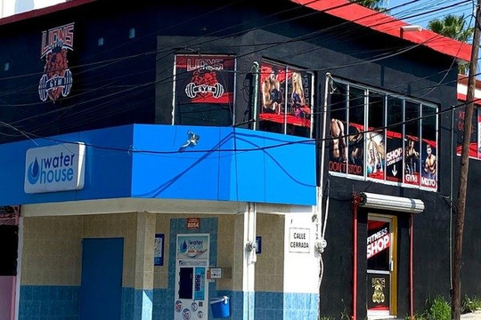 Imagen 1 de la galería del partner Lions Gym