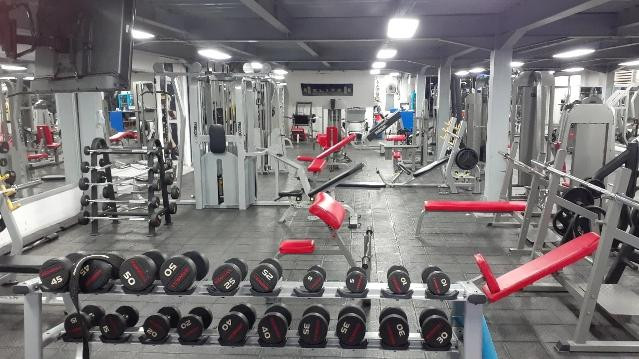 Imagen 1 de la galería del partner Elite Gym