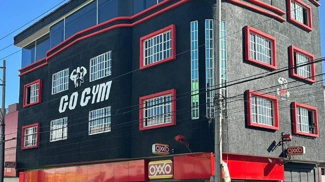 Imagen 2 de la galería del partner GO GYM NEZA