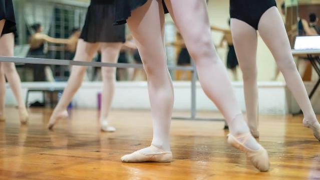 Imagen 1 de la galería del partner Dancynart