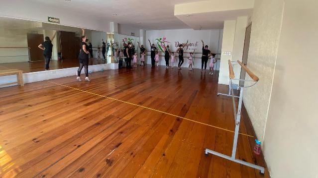 Imagen 2 de la galería del partner Dancynart