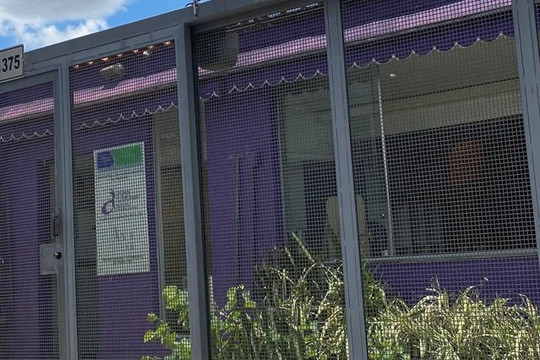 Imagem 2 da galeria do parceiro Ego Pilates