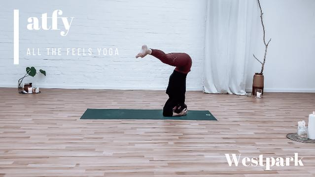 Bild 3 von Allthefeels Yoga - Westpark Partnergalerie