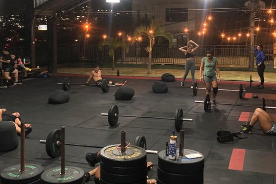 Imagem 1 da galeria do parceiro TRY HARD