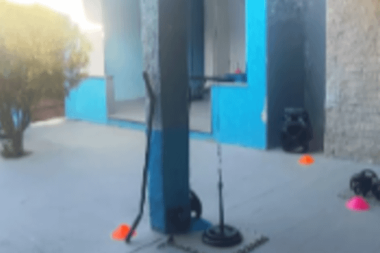 Imagem 3 da galeria do parceiro Alpha Fitness