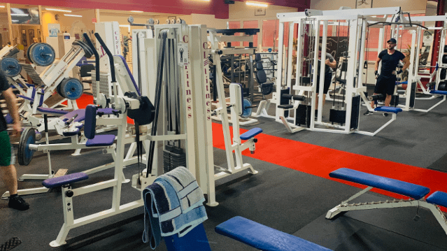 Bild 1 von Hansi's Gym Partnergalerie