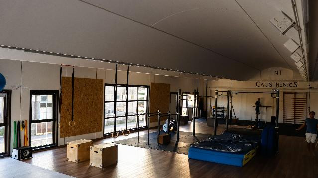 Immagine 1 dalla galleria del partner TNT Calisthenics