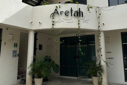 Imagen 2 de la galería del partner Aretah Maule