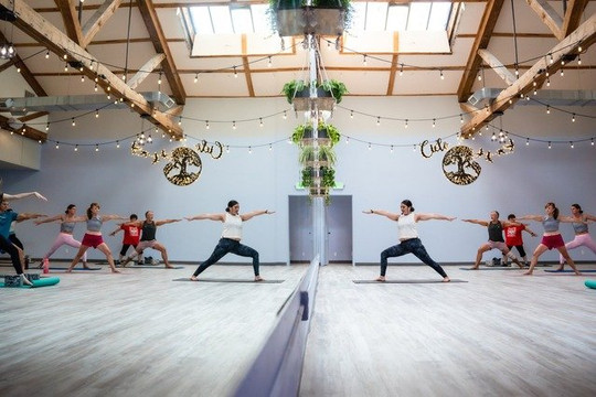 Image 2 from Yoga Wellness Connection partner gallery