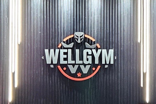 Imagem 1 da galeria do parceiro Wellgym