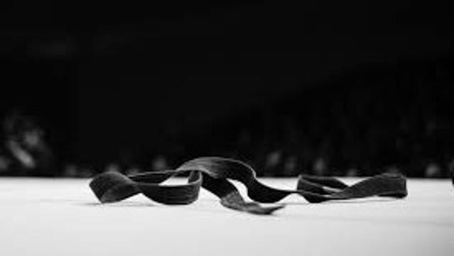 Image 2 from West LA Jiu Jitsu partner gallery