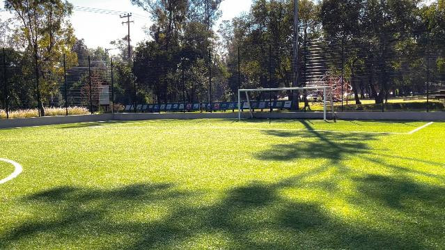 Imagen 2 de la galería del partner Entreno MX - Lomas