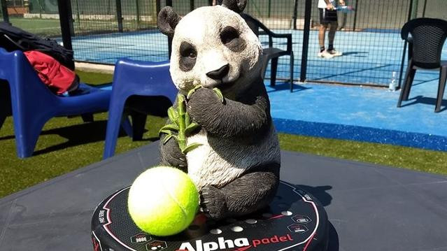 Immagine 1 dalla galleria del partner New Padel Panda
