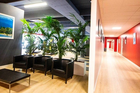 Immagine 3 dalla galleria del partner Palestra Dorian Gray Vidor