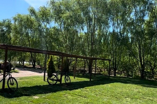 Imagen 3 de la galería del partner Chosbigym