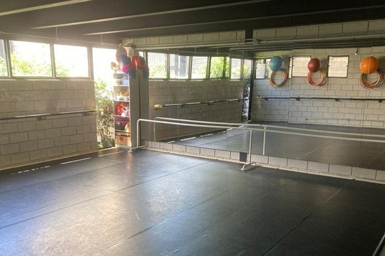 Imagem 1 da galeria do parceiro Núcleo Arte & Saúde - Ballet Carolina Eimantas