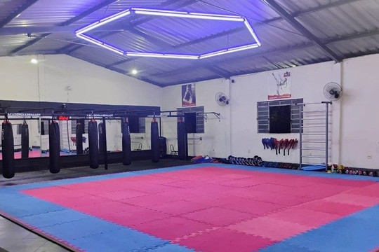 Imagem 1 da galeria do parceiro Academia Arena