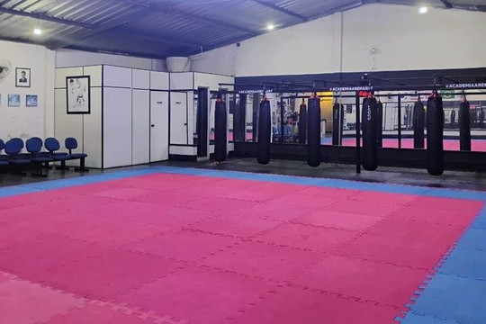 Imagem 2 da galeria do parceiro Academia Arena