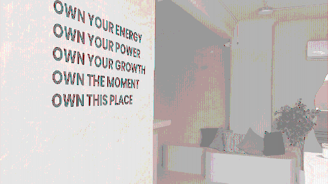 Imagen 3 de la galería del partner OWN Training Lab