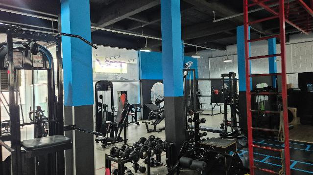 Imagem 3 da galeria do parceiro Studio Movement