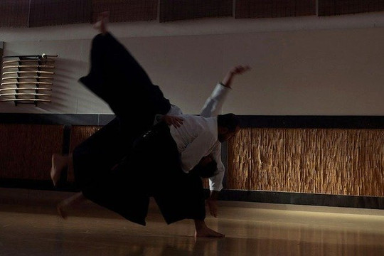Imagen 1 de la galería del partner Aikido Musubi Badalona