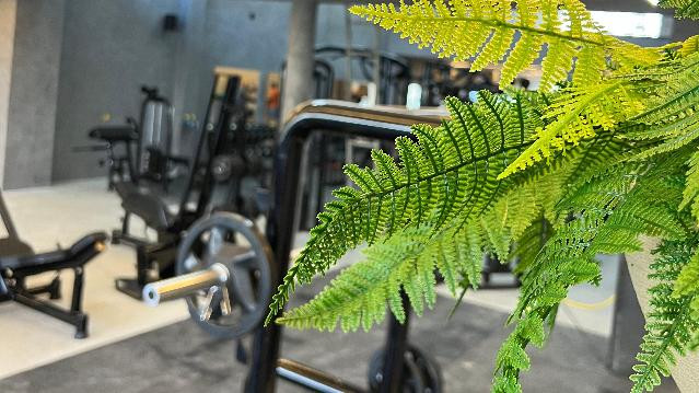 Imagem 1 da galeria do parceiro Academia Ello Fitness