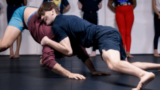 Image 1 de la galerie du partenaire Freestyle Dojo