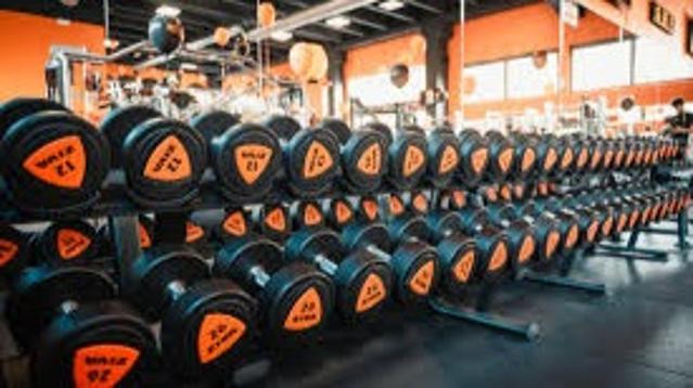 Immagine 3 dalla galleria del partner FitActive Frosinone