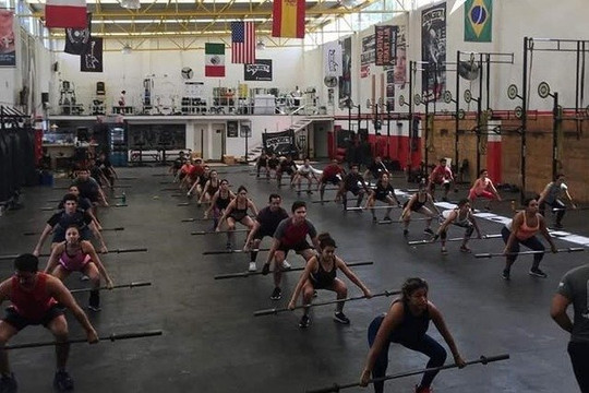 Imagen 1 de la galería del partner Boxster Training Square