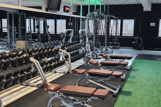 Immagine 1 dalla galleria del partner Palestra QJ