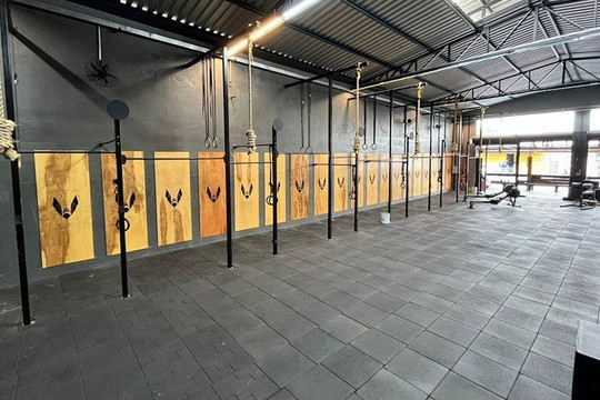 Imagem 1 da galeria do parceiro Hive Fitness