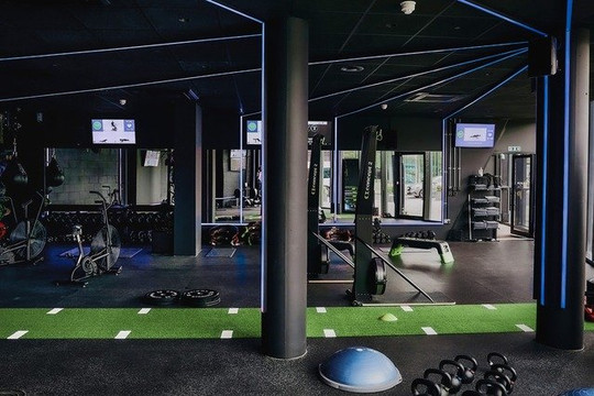 Image 1 from RUMBLE – Primrose partner gallery