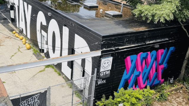 Image 2 from STAY GOLD BROCK partner gallery