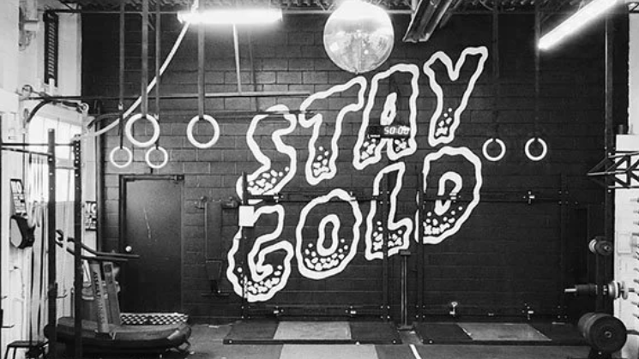 Image 1 from STAY GOLD BROCK partner gallery