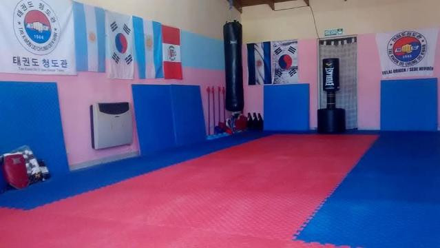 Imagen 3 de la galería del partner ACADEMIA DE TAEKWONDO MAGNO GARAY