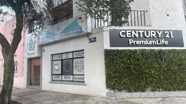 Imagen 2 de la galería del partner Bianii studio