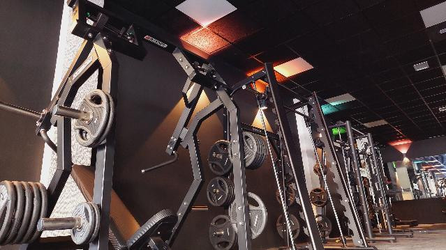 Imagen 1 de la galería del partner Animal Gym