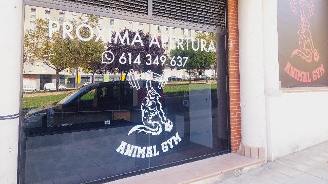 Imagen 2 de la galería del partner Animal Gym