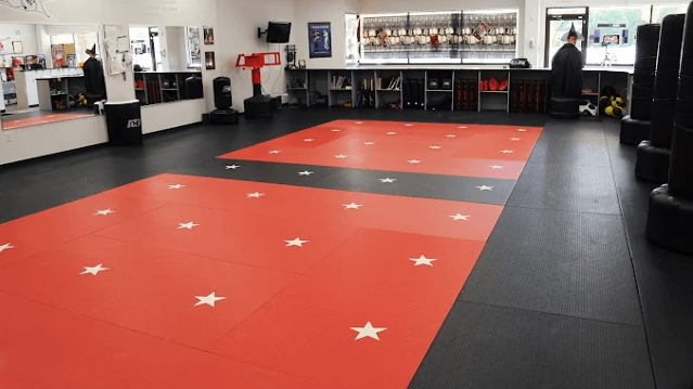 Image 1 from KarateBuilt Grand Rapids partner gallery