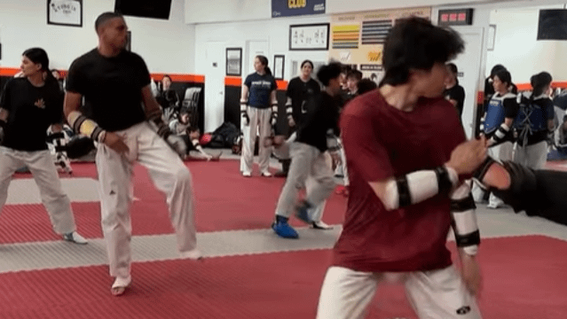 Image 1 from American Tigers Taekwondo partner gallery