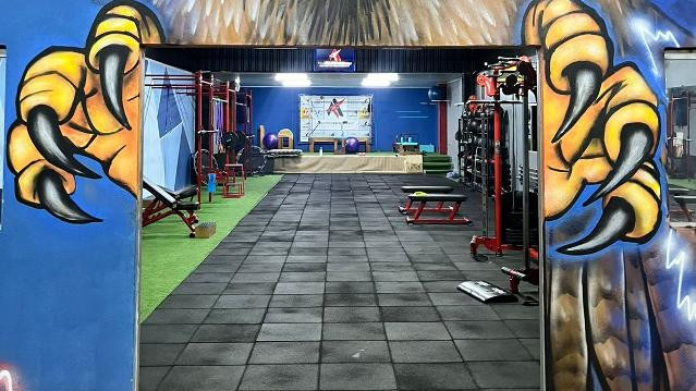 Imagem 1 da galeria do parceiro Falcões Performance