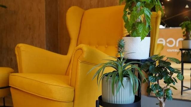 Imagem 3 da galeria do parceiro Balance Campo Pequeno