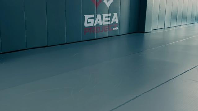 Imagem 3 da galeria do parceiro Gaea Project MMA