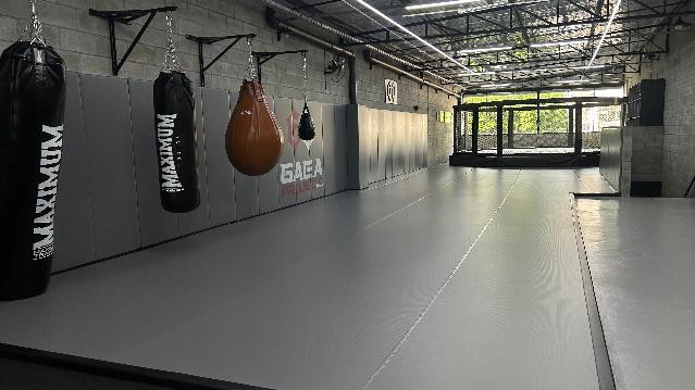 Imagem 1 da galeria do parceiro Gaea Project MMA