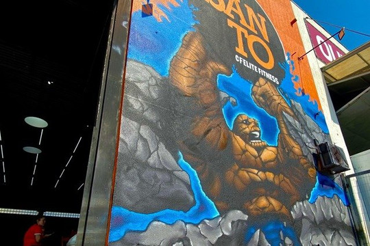 Imagem 2 da galeria do parceiro Santo CF