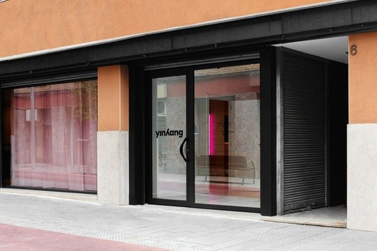 Imagen 2 de la galería del partner Yinyang Studio