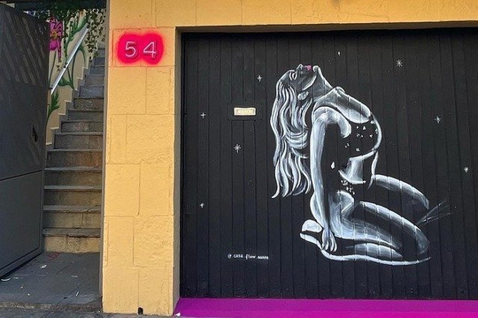 Imagem 2 da galeria do parceiro Studio Flow Dance