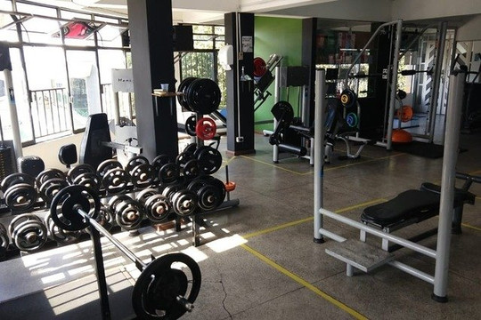 Imagem 1 da galeria do parceiro Canedo Studios