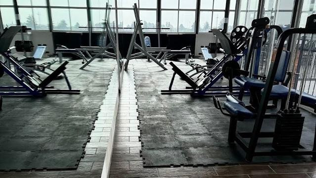 Imagen 1 de la galería del partner Strong Bull